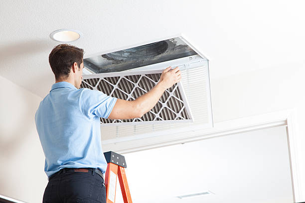 Best HVAC air duct cleaning  in East Moline, IL